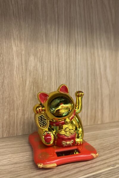 Zdjęcie 28.02.2024, 16 16 06_Easy-Resize.com